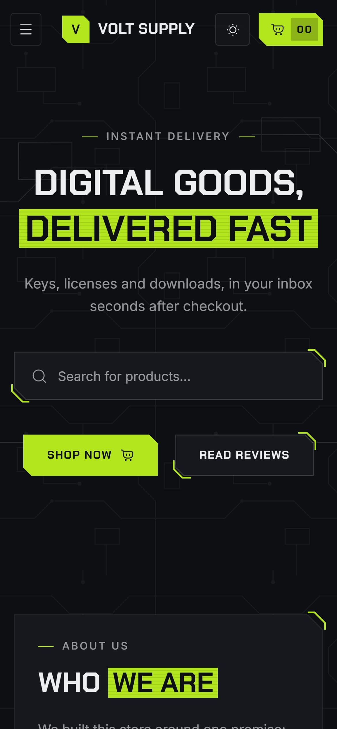Circuit store theme, home page